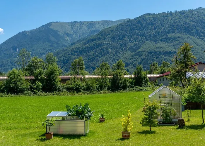 Fruhstuckspension Haus Ahamer Гостевой дом